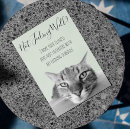 Sök efter sjuk humor vykort Katt