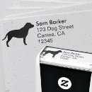 Sök efter tjurterrier Staffordshire tjurterrier