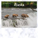 Sök efter ungar vykort Alaska