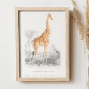 Sök efter giraff posters För henne