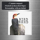 Sök efter bird magneter Fotografi