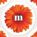 Sök efter daisy för gerbera klistermärken För alla