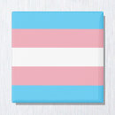 Sök efter transgender magneter Flagga