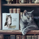 Sök efter katthumor Kattunge