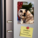 Sök efter kattfoto magneter Modern