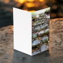 Sök efter tusen kort Resa