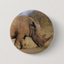 Sök efter rhinos knappar Rhinoceros