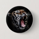 Sök efter tiger knappar Mode