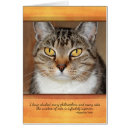 Sök efter grå katt Människor (allmänt)