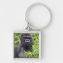 Sök efter gorilla nyckelringar Primat