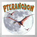 Sök efter pteranodon Utdöda