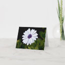 Sök efter växa fotografi Blomstra