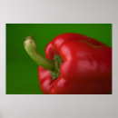 Sök efter paprika Mat