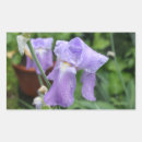 Sök efter iris klistermärken Sommar