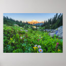 Sök efter skogsmark posters Vildblomma