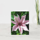 Sök efter clematis kort Rosa