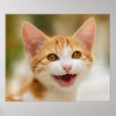 Sök efter jam posters Kattunge