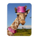 Sök efter halsband magneter Rosa