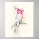 Sök efter opera posters Fåglar