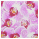 Sök efter strålpunkt Orchid