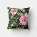Sök efter rosa camellia Kamellia
