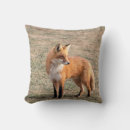 Sök efter räv kuddar Djur