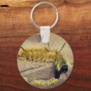 Sök efter dagg För honom