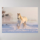 Sök efter vinter posters Häst