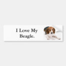 Sök efter beagle bildekaler Kärlek