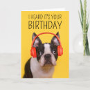 Sök efter boston terrier kort Hund