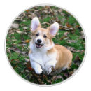 Sök efter corgi inredningsdetaljer Söt