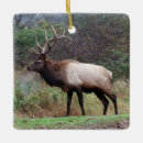 Sök efter elk julgransprydnader Tjur