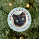 Sök efter jultomten och katter julgransprydnader For pets
