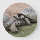 Sök efter galapagos konst Söt
