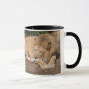 Sök efter kattkaffemugg Katter