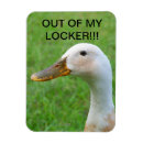 Sök efter gås magneter Skola