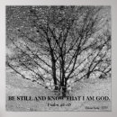 Sök efter svartvita träd konst Vinter