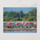 Sök efter latin fotografi Yucatan