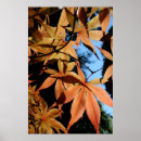 Sök efter japanska fotografi posters Röd