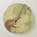 Sök efter grodor Toad
