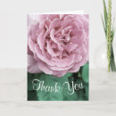 Sök efter ro fotokort Rosa ros
