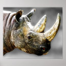 Sök efter rhinos konst Noshörning