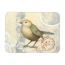 Sök efter sång fågel magneter Djur