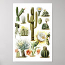 Sök efter botanical posters Illustration