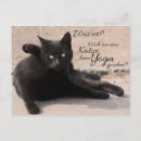 Sök efter katz För alla
