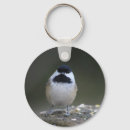 Sök efter chickadee nyckelringar Vattensköna