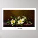 Sök efter martin posters Martin johnson heade