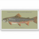 Sök efter fishing klistermärken Fiska