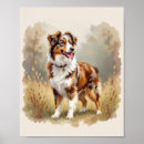 Sök efter australian shepherd posters Husdjur