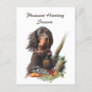 Sök efter gordon setter Jakt